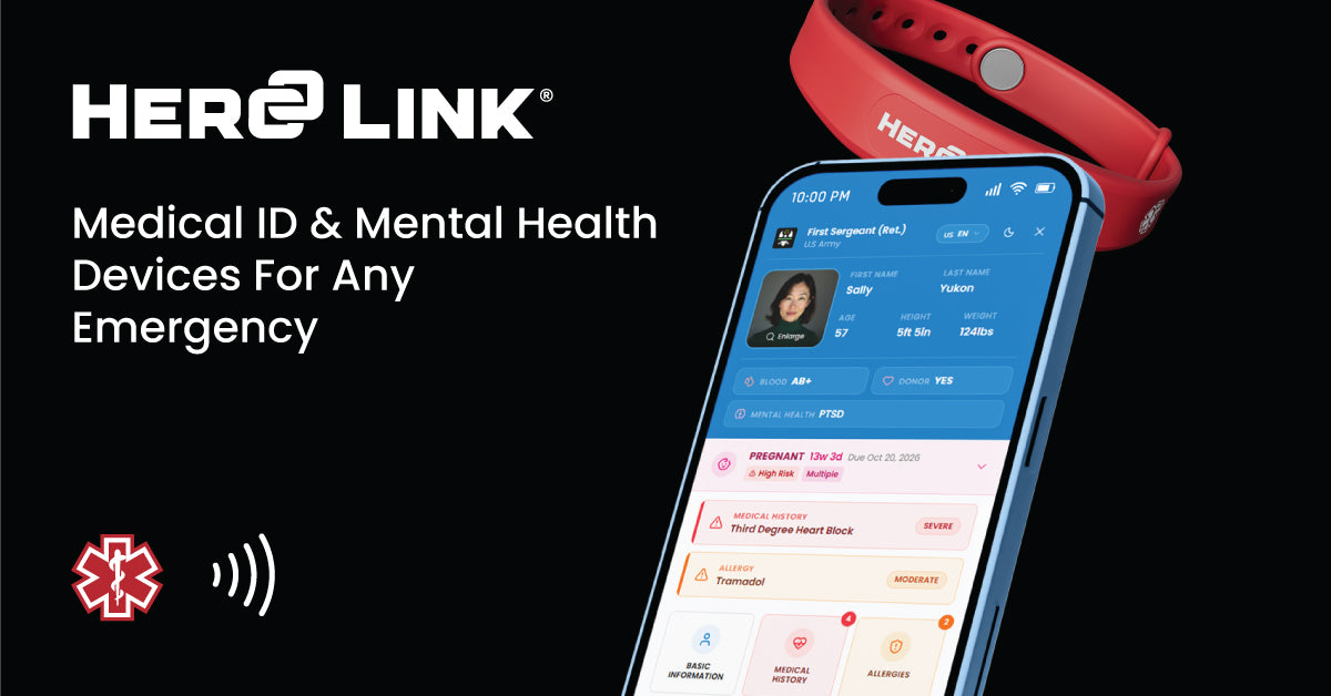 Herolink logo